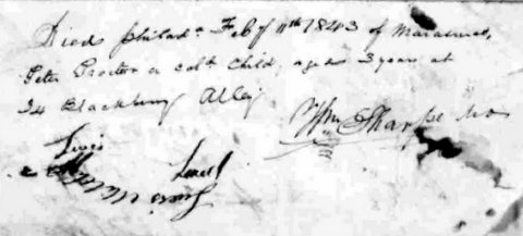 record-image_S3HT-679W-WJ4 (1)