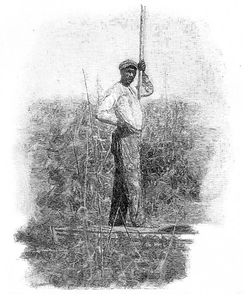 Black man - the Neck