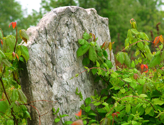 Old Stone, rain_email