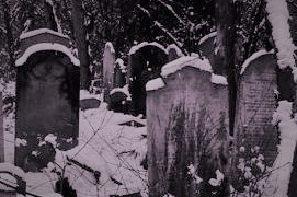 5b858f2ef7c3890dc1f6abe62c3b1346