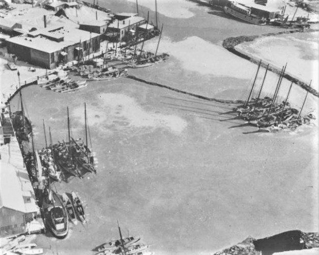 Oyster boats frozen in