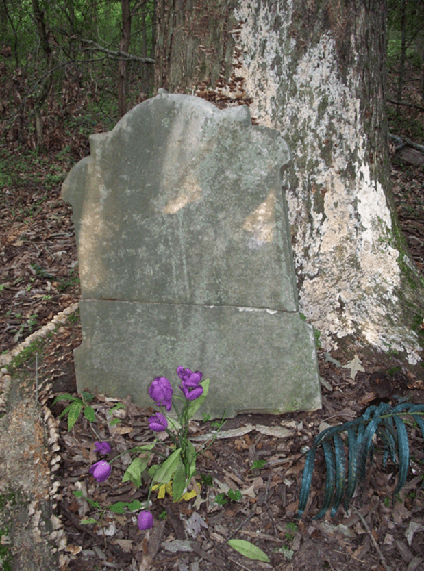 Tombstone Spring flower